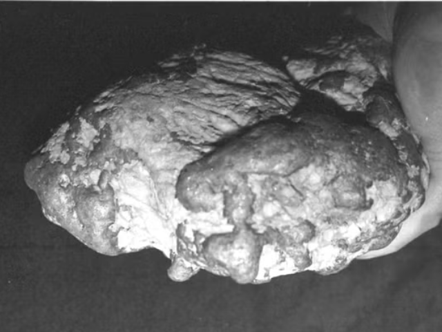 Gold nugget weighing 6.6kg (14lb) found in a mine on Qilian Mountain in northwest China (XINHUA/AFP via Getty)