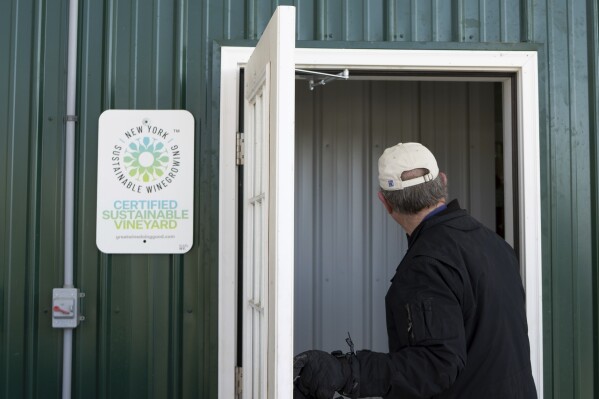 Scott Osborn, owner of Fox Run Vineyards, enters a wine production building Friday, March 21, 2025, in Penn Yan, N.Y. (Natasha Kaiser via AP)