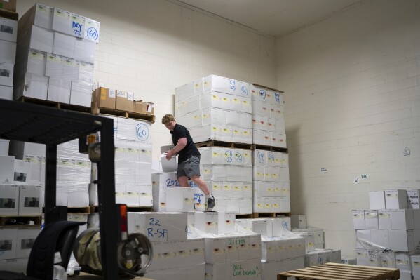 Roark Castner works at Anthony Road Winery, Saturday, March 22, 2025, in Penn Yan, N.Y. (Natasha Kaiser via AP)